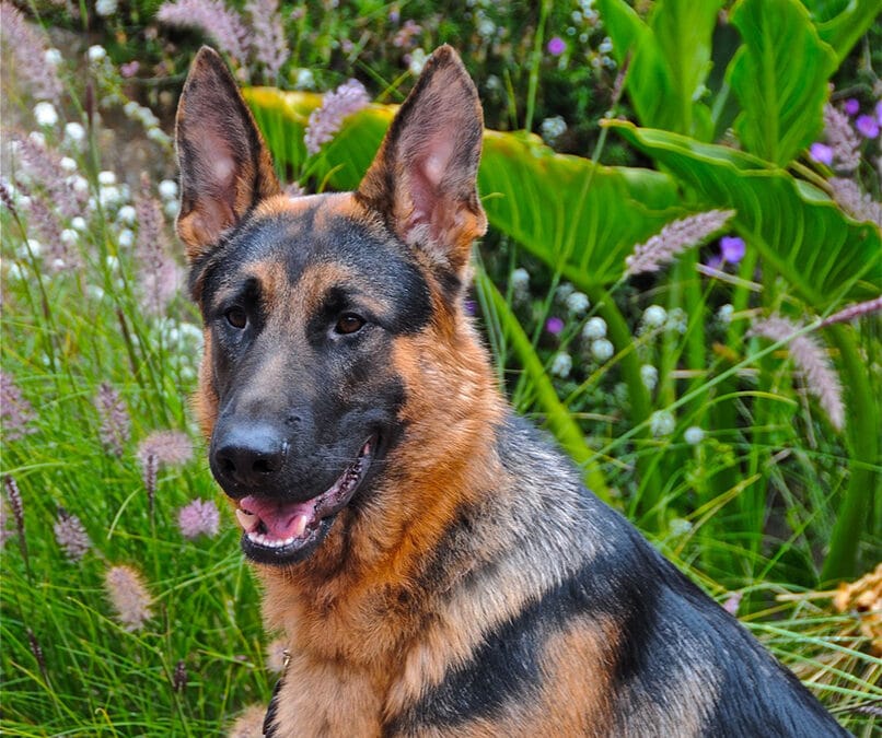 In Memory of Radar